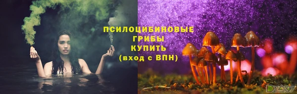 каннабис Алексеевка