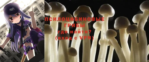 соль ск Слюдянка