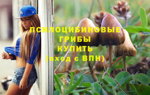 соль ск Алзамай