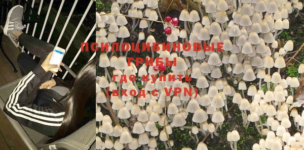 apvp Алексин
