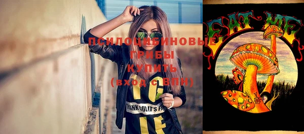 соль ск Алзамай